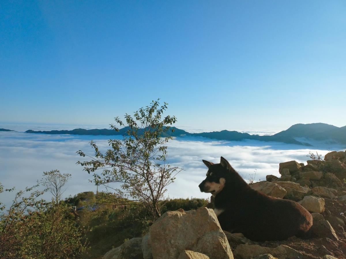 1941M Homestay Ta Xua Bac Yen エクステリア 写真