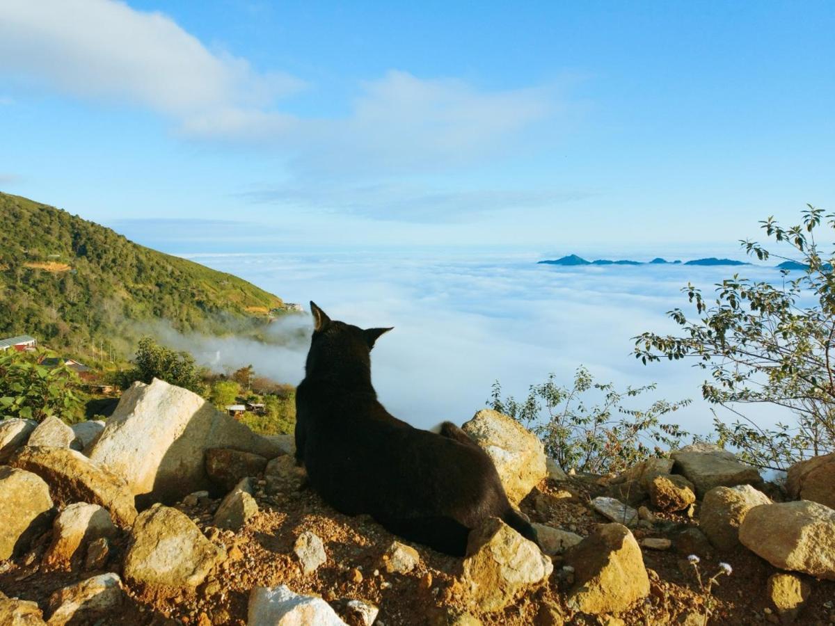 1941M Homestay Ta Xua Bac Yen エクステリア 写真